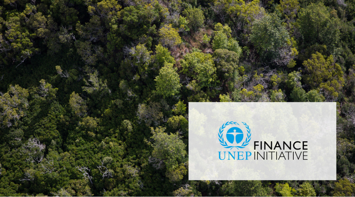 Luxembourg Sustainable Finance Roadmap Innpact