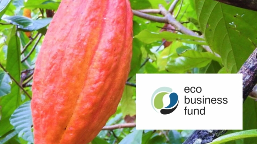 eco business fund