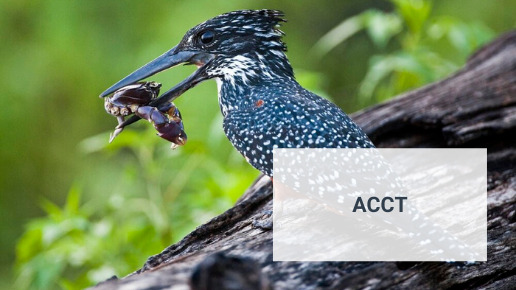 Innpact projects AIFM ACCT