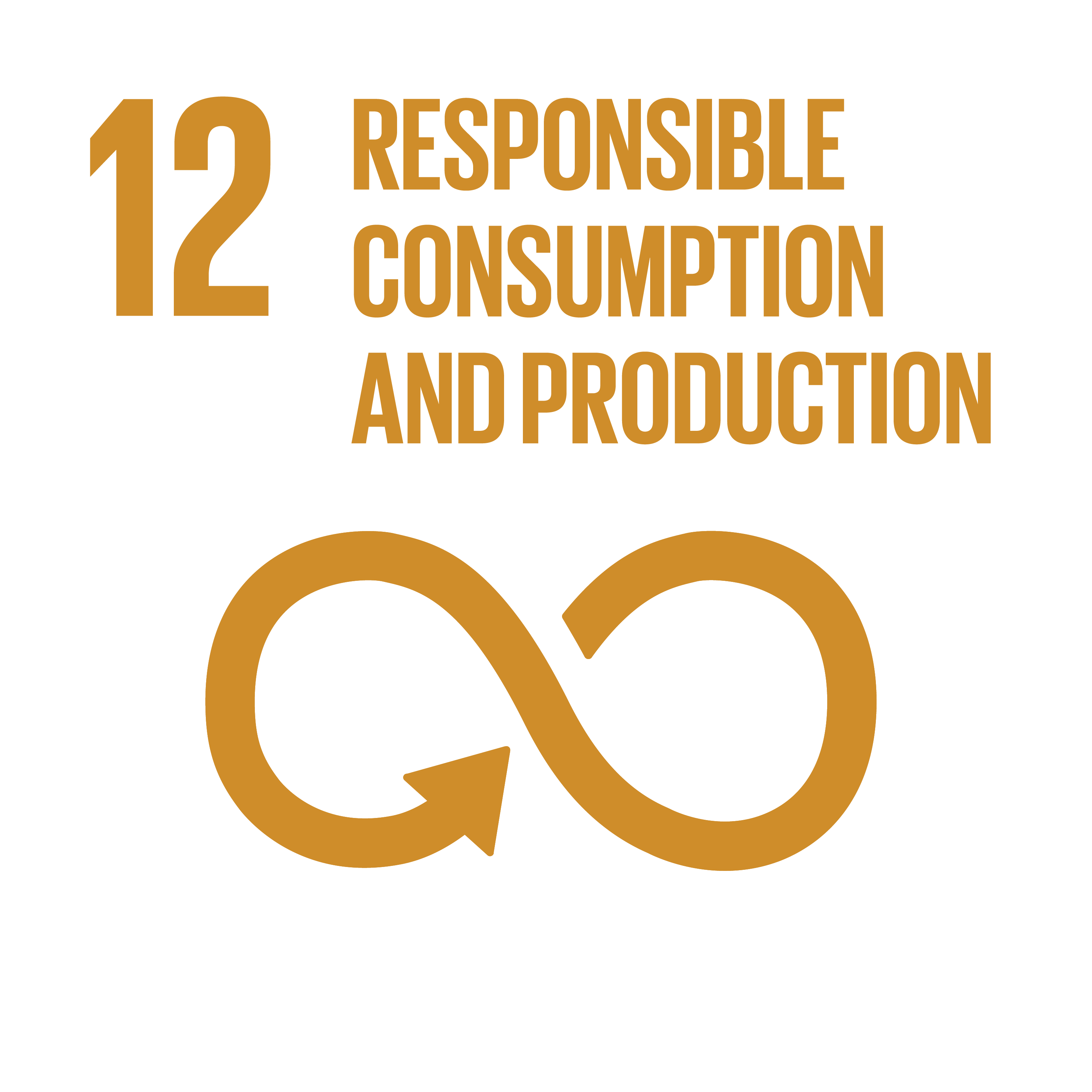 Innpact United Nations Sustainable Development Goal #12 Responsible Consumption and Production