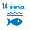 Innpact United Nations Sustainable Development Goal #14 Life Below Water