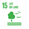 Innpact United Nations Sustainable Development Goal #15 Life on Land
