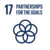 Innpact United Nations Sustainable Development Goal #17 Partnerships for the Goals