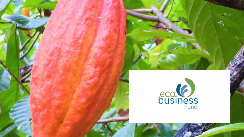 Innpact Eco Business Fund header