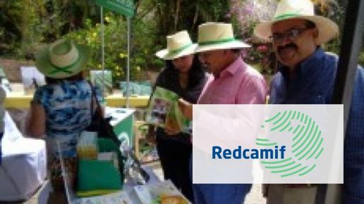 Redcamif Innpact Projects
