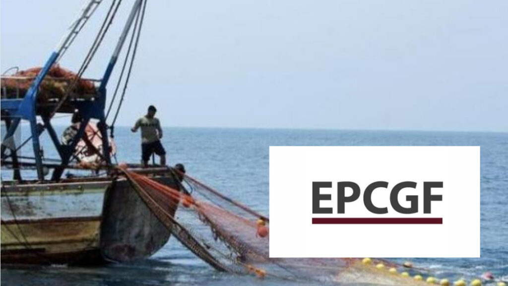 Innpact Projects EPCGF