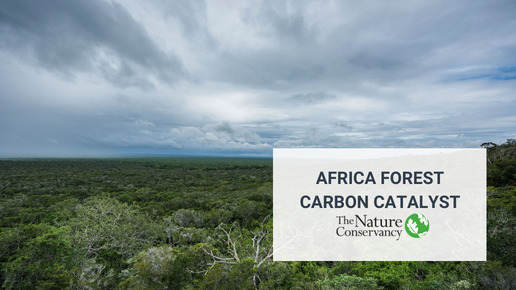 Innpact Projects Africa Forest Carbon Catalyst