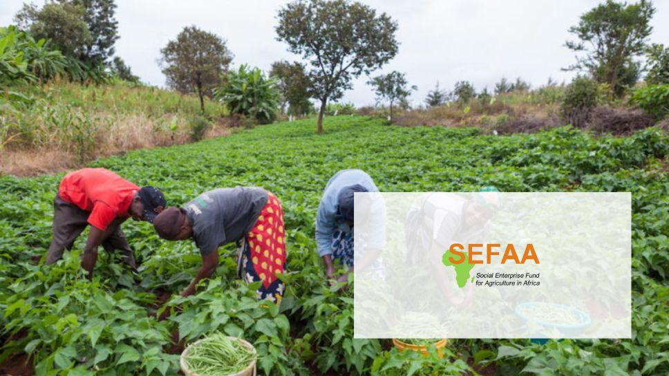 Innpact Projects SEFAA