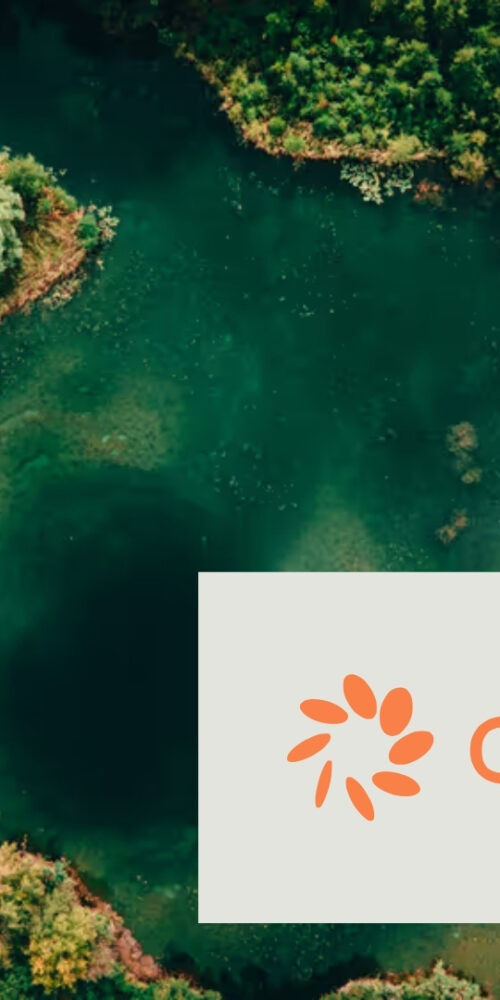 Octobre Liquidity Guarantee Facility (“OLGF”)